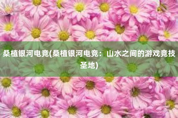 桑植银河电竞(桑植银河电竞：山水之间的游戏竞技圣地)