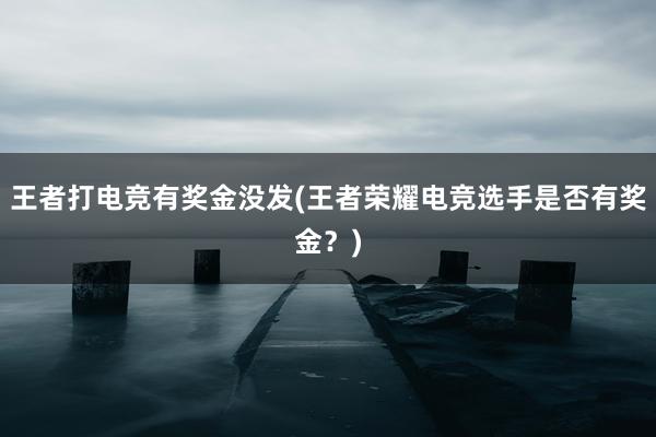 王者打电竞有奖金没发(王者荣耀电竞选手是否有奖金？)