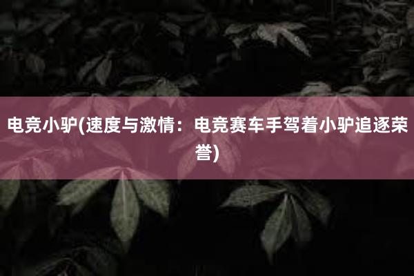 电竞小驴(速度与激情：电竞赛车手驾着小驴追逐荣誉)