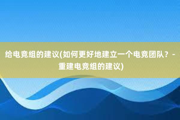 给电竞组的建议(如何更好地建立一个电竞团队？- 重建电竞组的建议)