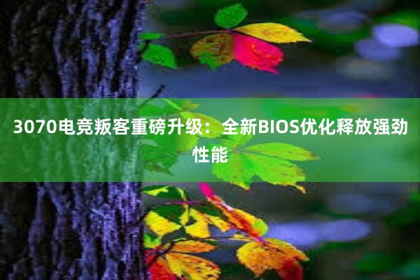 3070电竞叛客重磅升级：全新BIOS优化释放强劲性能