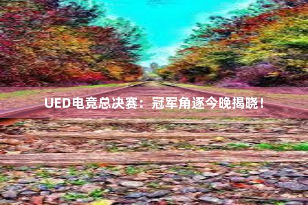 UED电竞总决赛：冠军角逐今晚揭晓！