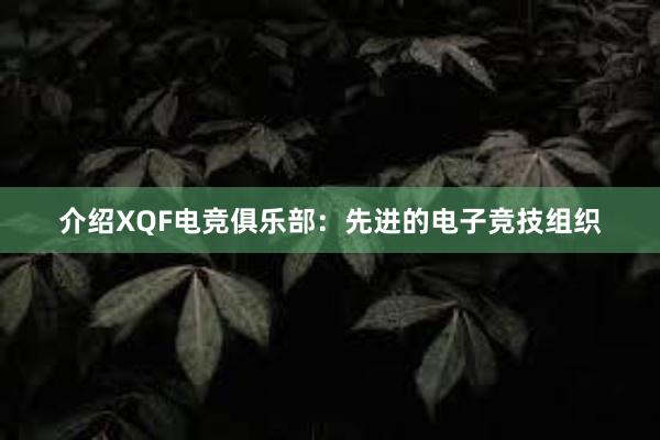 介绍XQF电竞俱乐部：先进的电子竞技组织