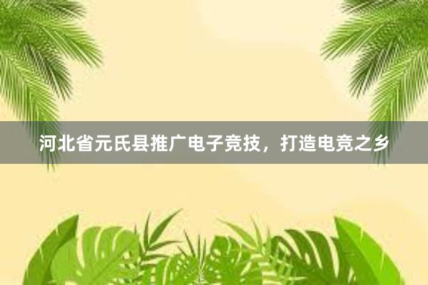 河北省元氏县推广电子竞技，打造电竞之乡