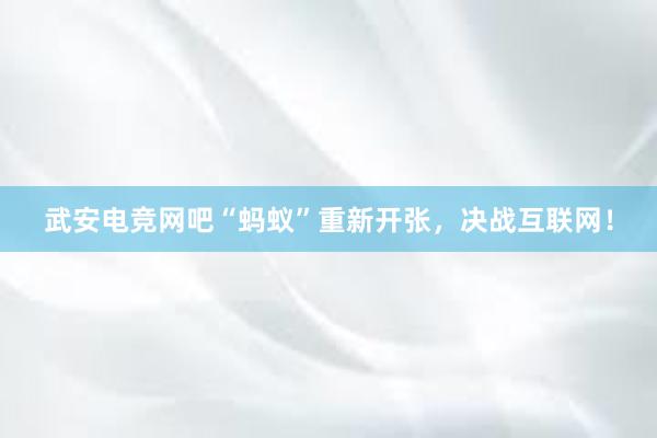 武安电竞网吧“蚂蚁”重新开张，决战互联网！