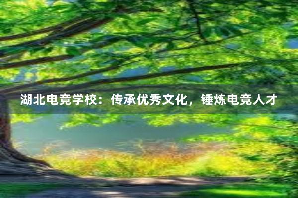 湖北电竞学校：传承优秀文化，锤炼电竞人才