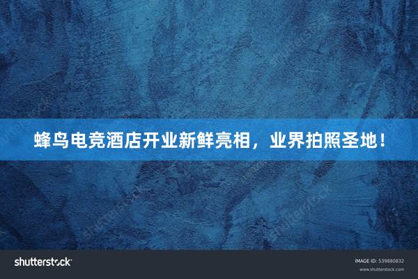 蜂鸟电竞酒店开业新鲜亮相，业界拍照圣地！